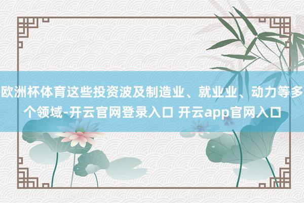欧洲杯体育这些投资波及制造业、就业业、动力等多个领域-开云官网登录入口 开云app官网入口