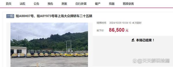 开云体育(中国)官方网站这次拍卖相称于拍卖报废车-开云官网登录入口 开云app官网入口