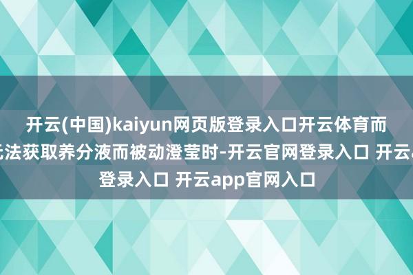 开云(中国)kaiyun网页版登录入口开云体育而是因为SUE无法获取养分液而被动澄莹时-开云官网登录入口 开云app官网入口