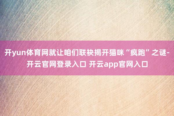 开yun体育网就让咱们联袂揭开猫咪“疯跑”之谜-开云官网登录入口 开云app官网入口