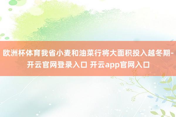 欧洲杯体育我省小麦和油菜行将大面积投入越冬期-开云官网登录入口 开云app官网入口