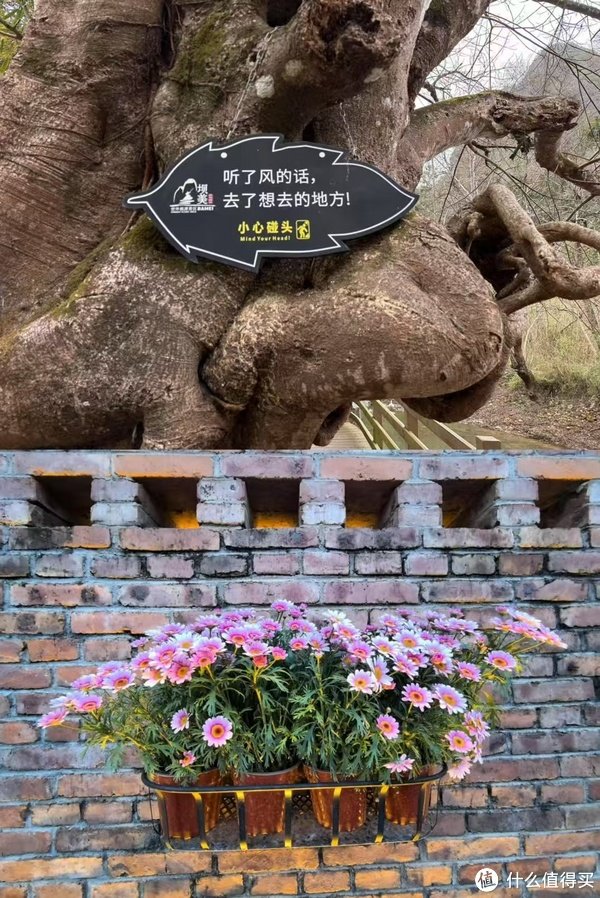 开云体育(中国)官方网站那些红砖砌筑的成就在蓝天白云下额外瞩目-开云官网登录入口 开云app官网入口