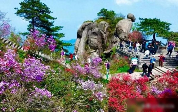 欧洲杯体育漫天彻地的峻岭杜鹃依山势绵延-开云官网登录入口 开云app官网入口