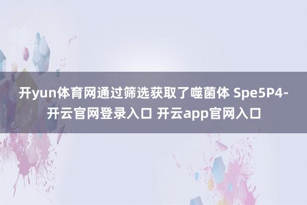 开yun体育网通过筛选获取了噬菌体 Spe5P4-开云官网登录入口 开云app官网入口
